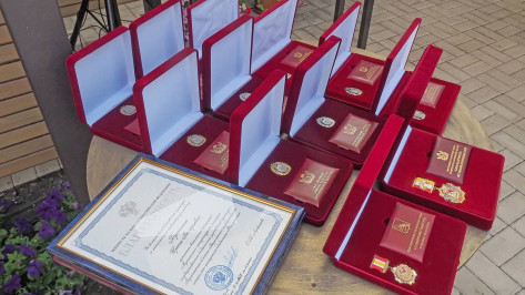 В Воронежской области наградили работников культуры и искусства