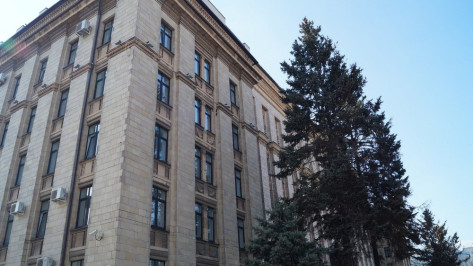 Руководители департамента культуры и управления архитектуры Воронежской области найдутся по интернету