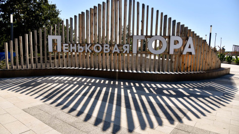 «Точки притяжения»: парк «Пеньковая гора» в Калачеевском районе